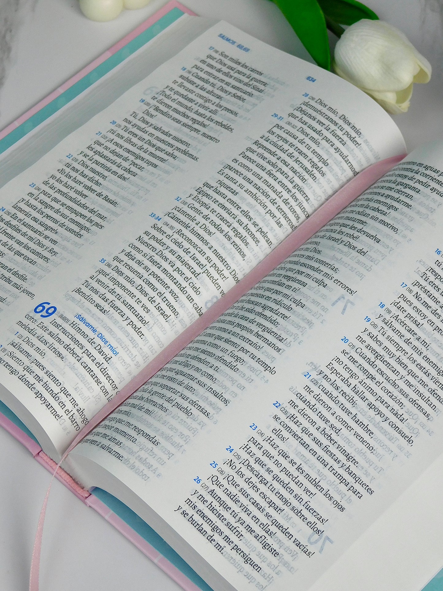 Biblia TLA – Puedo con todo porque Jesús está conmigo (Rosada)