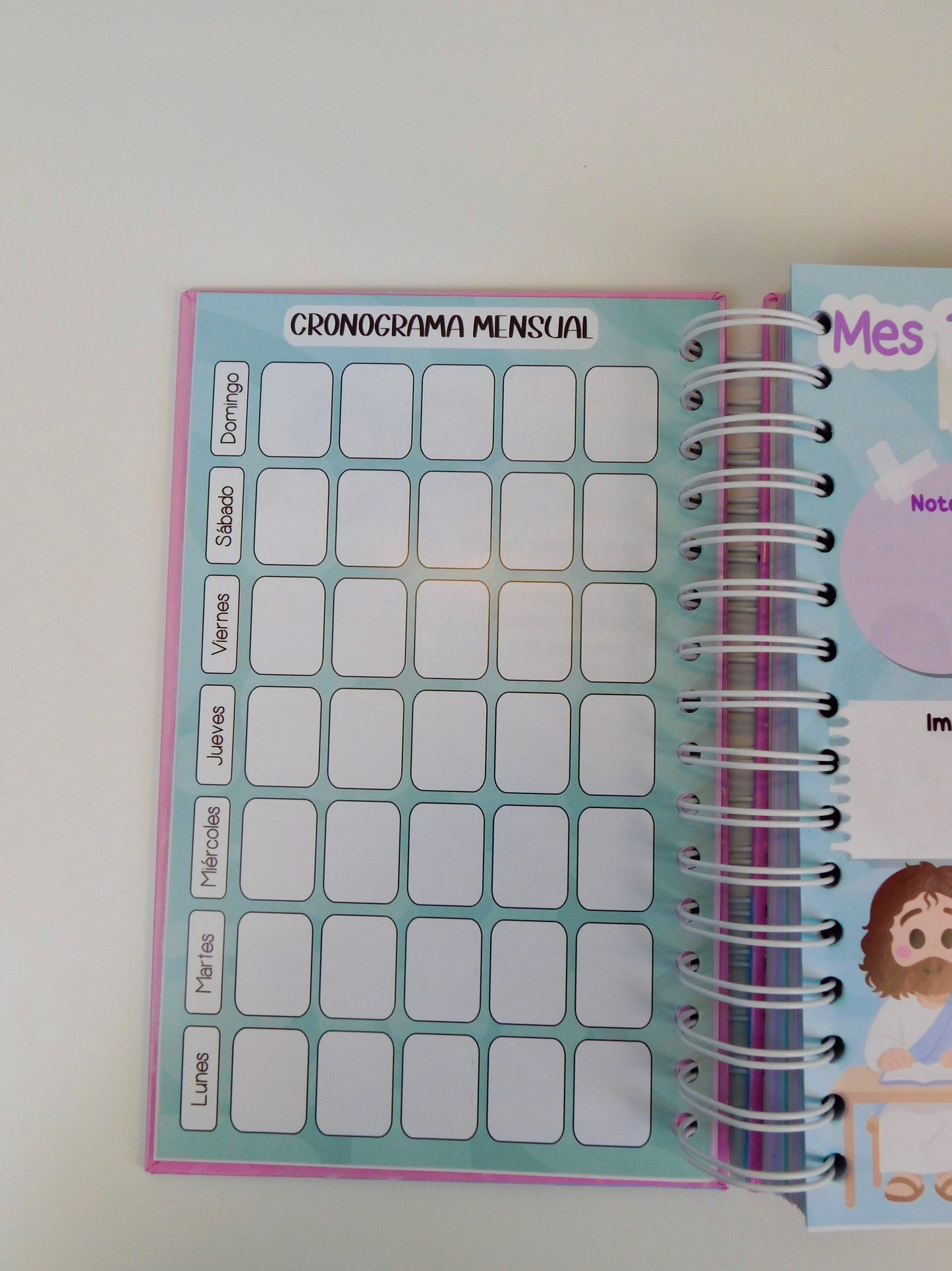 Agenda Permanente Rosa