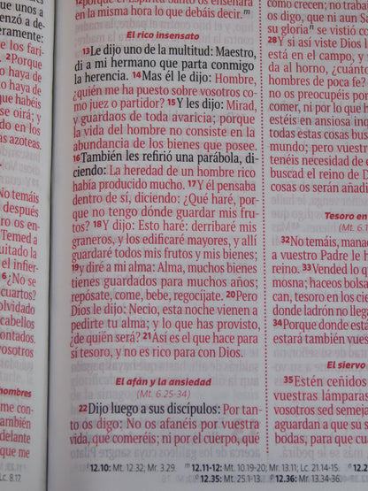 Biblia Reina Valera – Lila