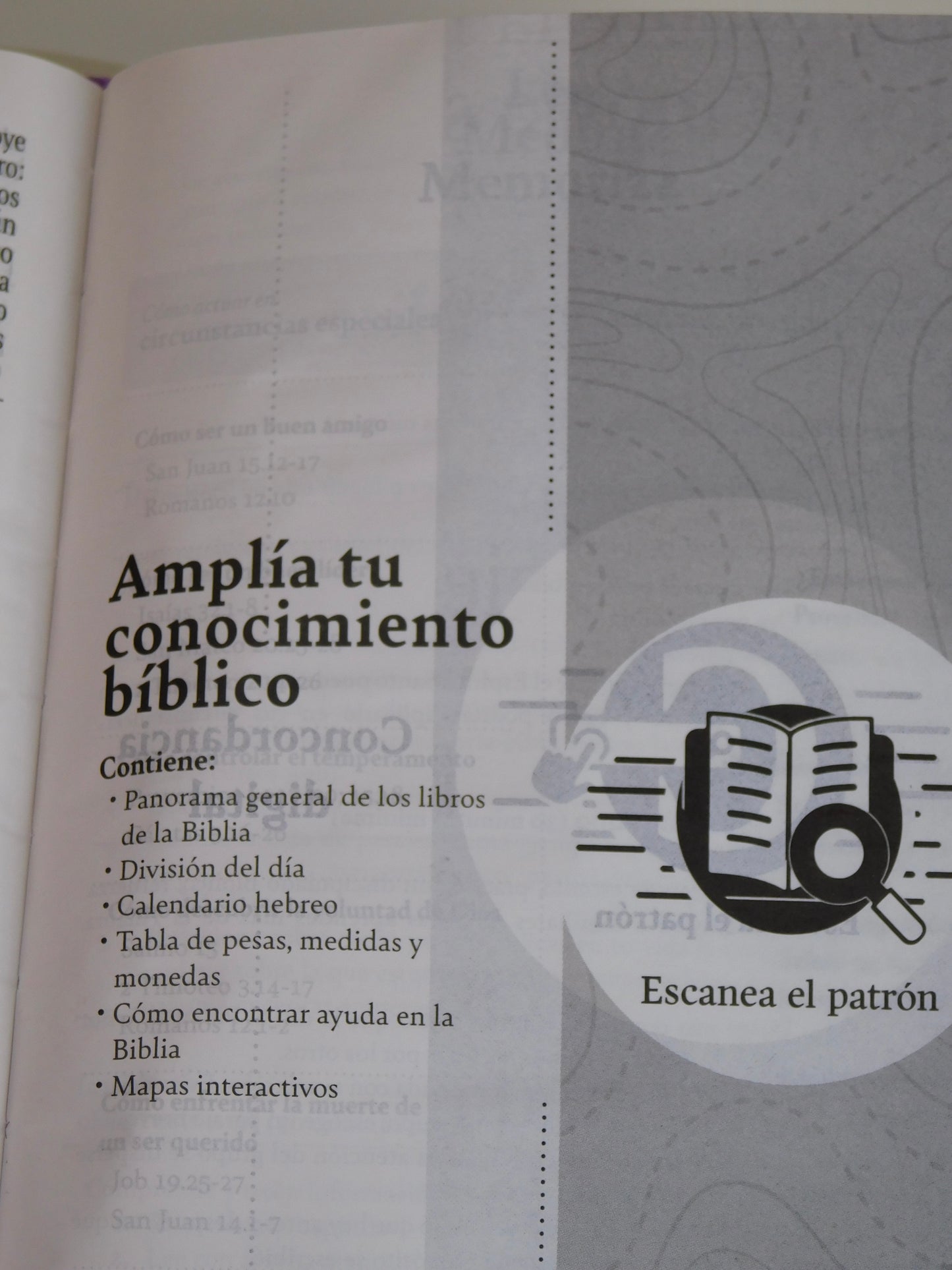 Biblia Reina Valera – Lila