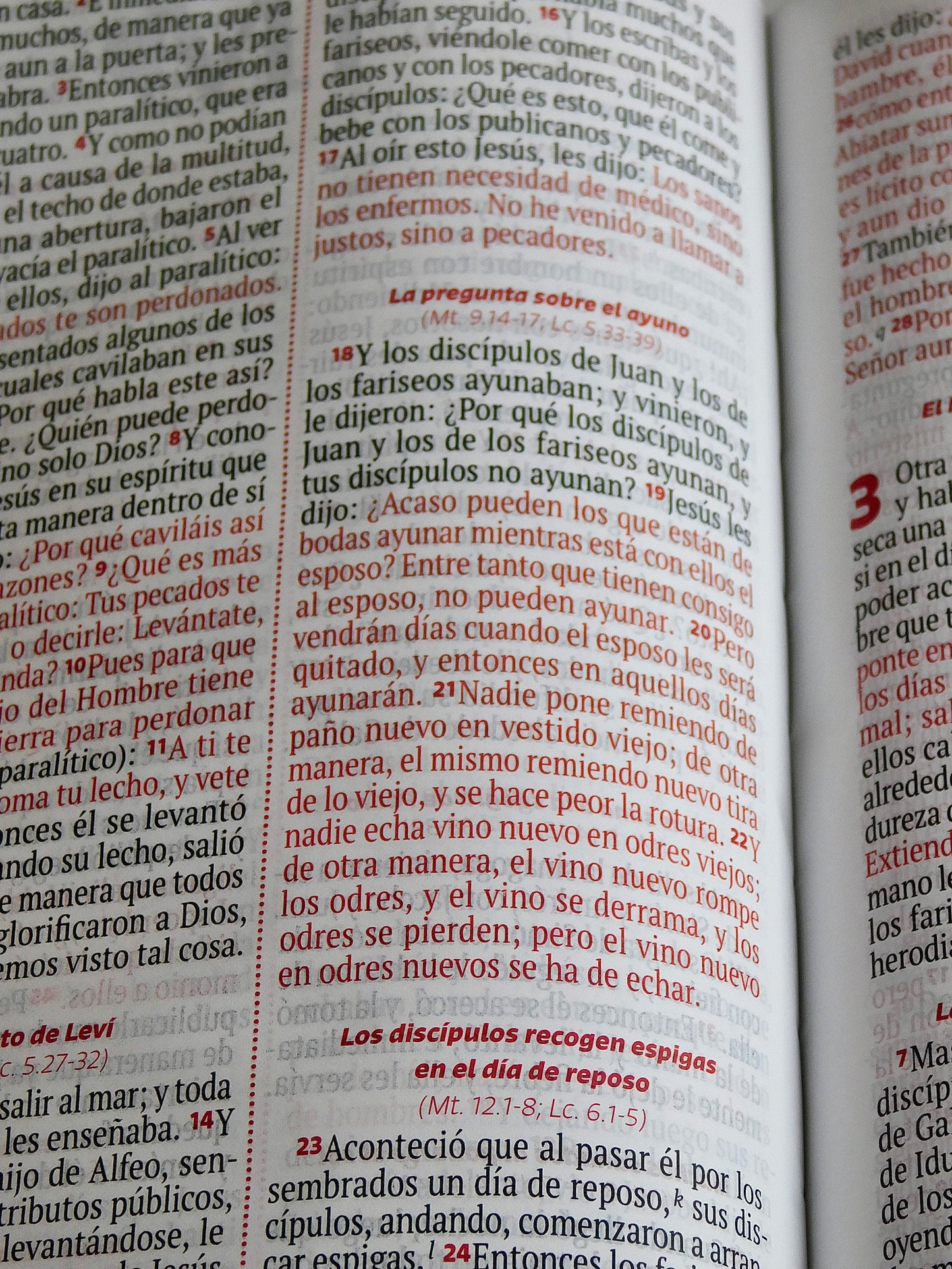 Biblia Reina Valera – Rosa