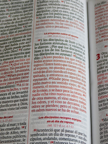Biblia Reina Valera – Rosa