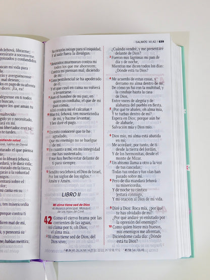 Biblia Reina Valera – Lila