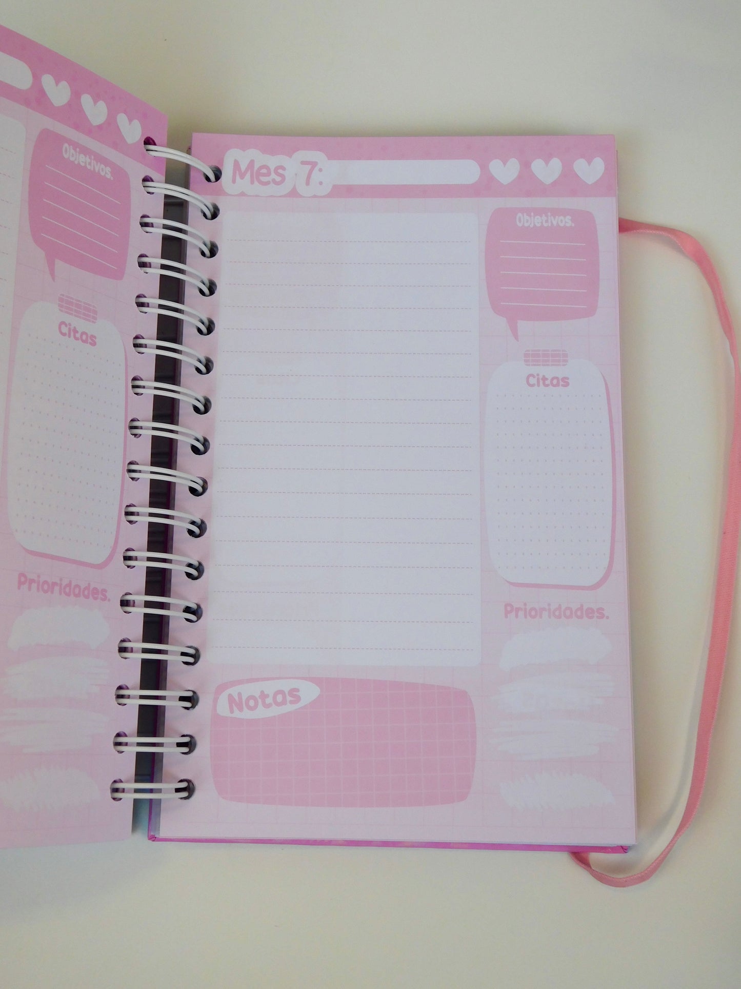 Agenda Permanente Rosa