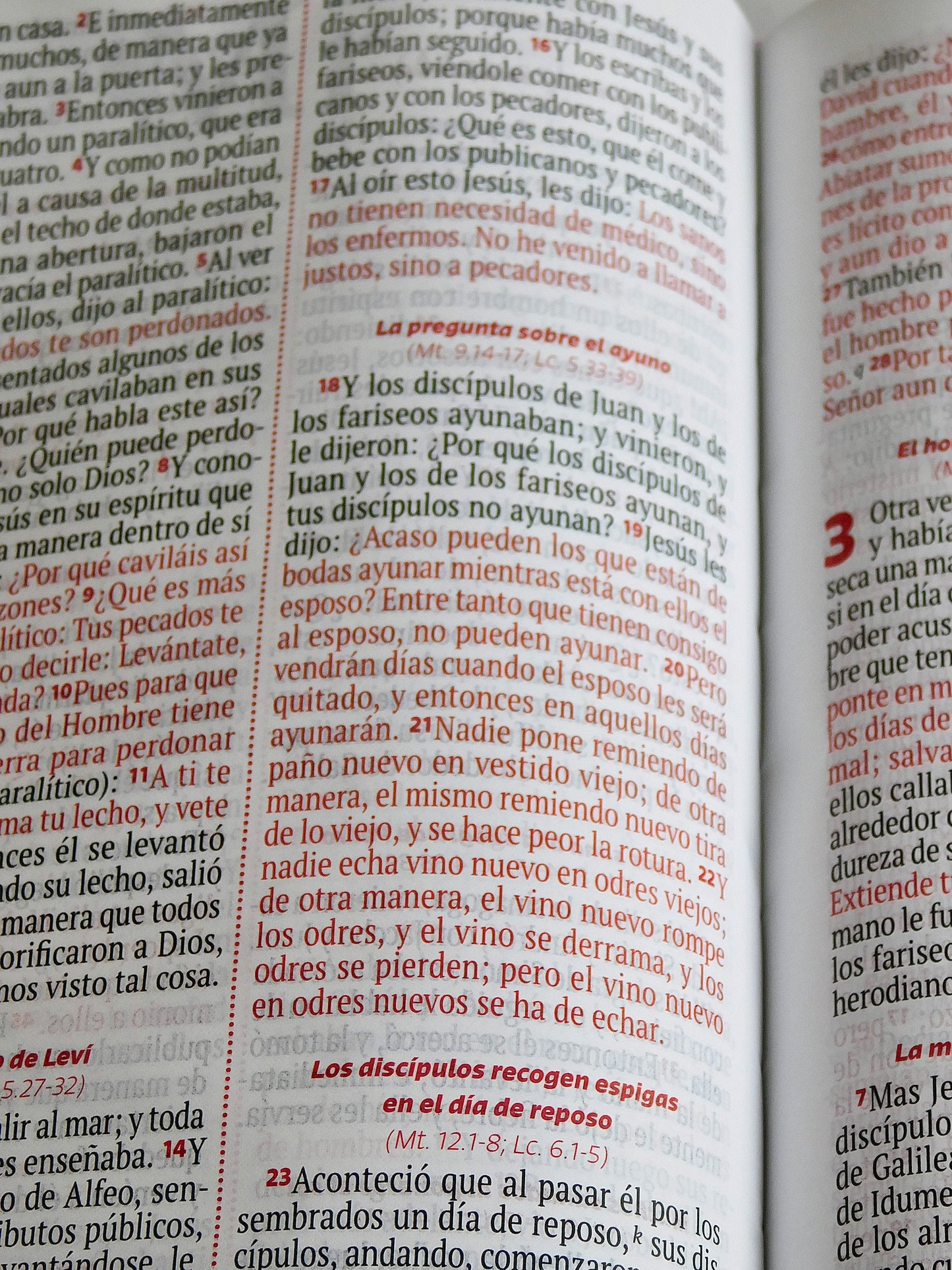 Biblia Reina Valera – Rosa