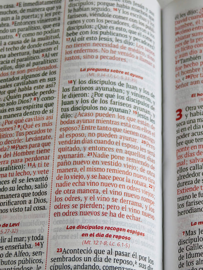 Biblia Reina Valera – Rosa