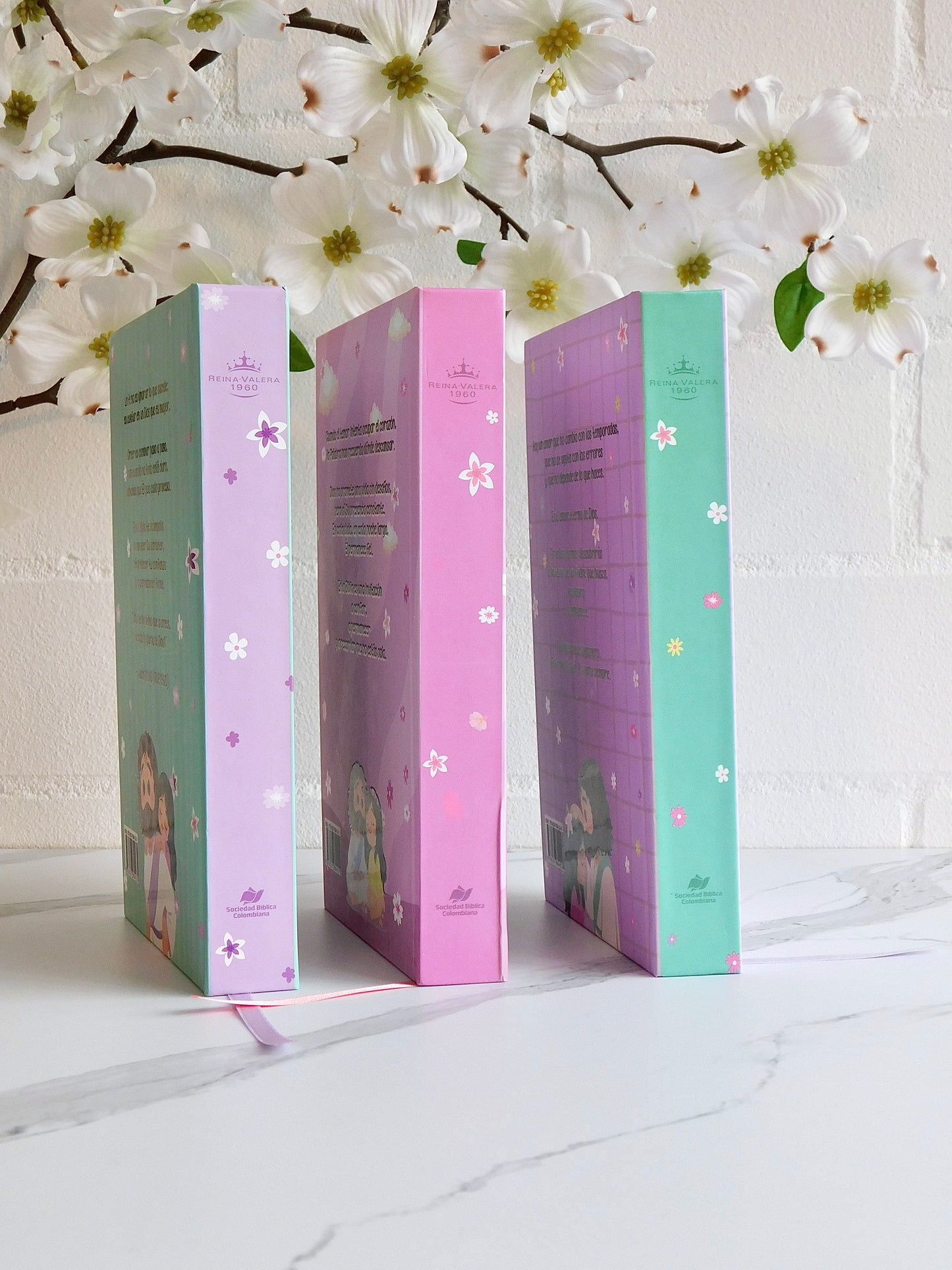 Biblia Reina Valera – Rosa
